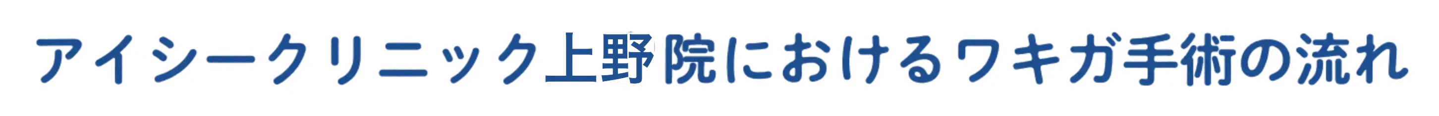アイシークリニック上野院におけるワキガ手術の流れ